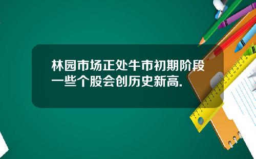林园市场正处牛市初期阶段一些个股会创历史新高.