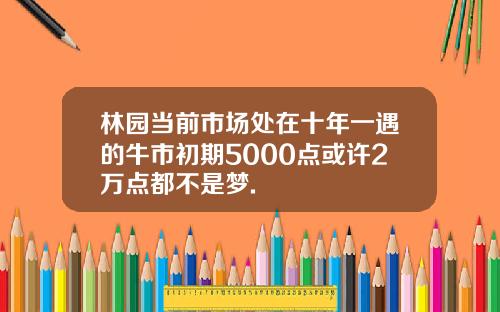 林园当前市场处在十年一遇的牛市初期5000点或许2万点都不是梦.