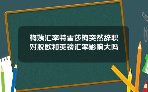 梅姨汇率特雷莎梅突然辞职对脱欧和英镑汇率影响大吗