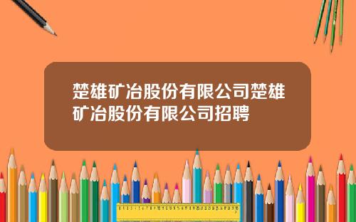 楚雄矿冶股份有限公司楚雄矿冶股份有限公司招聘