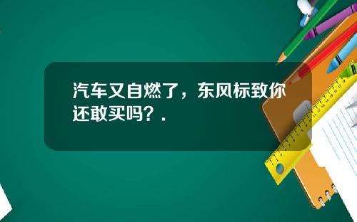 汽车又自燃了，东风标致你还敢买吗？.