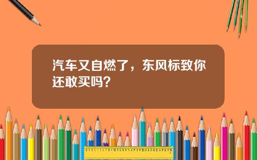 汽车又自燃了，东风标致你还敢买吗？
