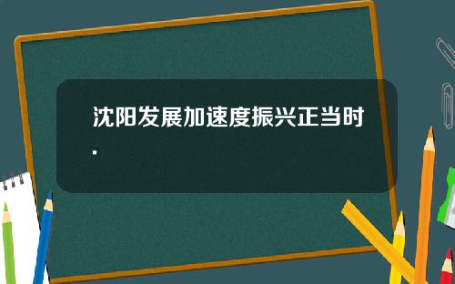 沈阳发展加速度振兴正当时.
