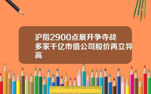 沪指2900点展开争夺战多家千亿市值公司股价再立异高
