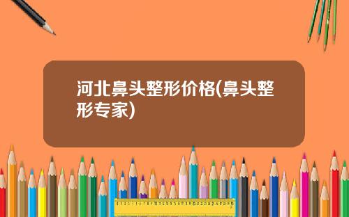 河北鼻头整形价格(鼻头整形专家)