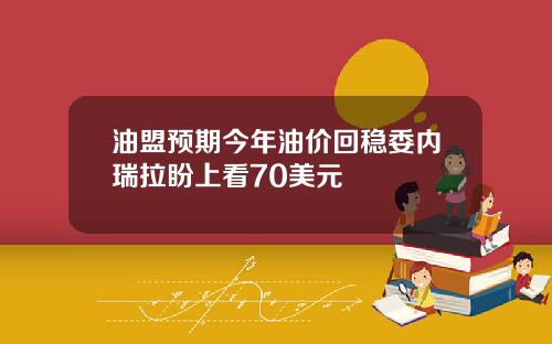 油盟预期今年油价回稳委内瑞拉盼上看70美元