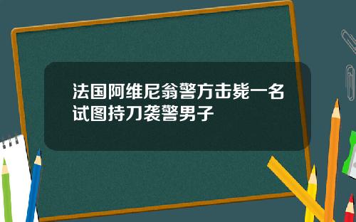 法国阿维尼翁警方击毙一名试图持刀袭警男子