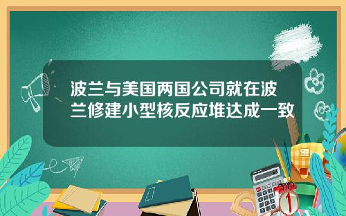 波兰与美国两国公司就在波兰修建小型核反应堆达成一致