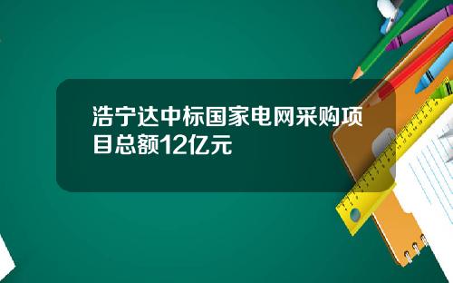 浩宁达中标国家电网采购项目总额12亿元