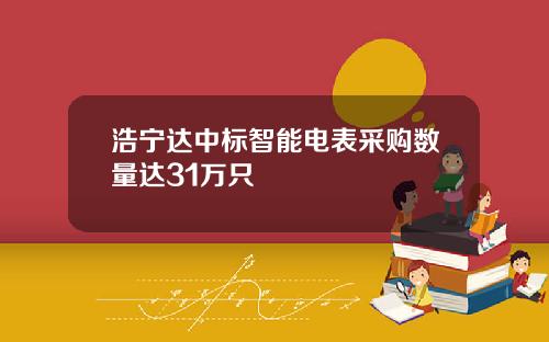 浩宁达中标智能电表采购数量达31万只