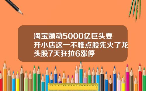 淘宝颤动5000亿巨头要开小店这一不雅点股先火了龙头股7天狂拉6涨停