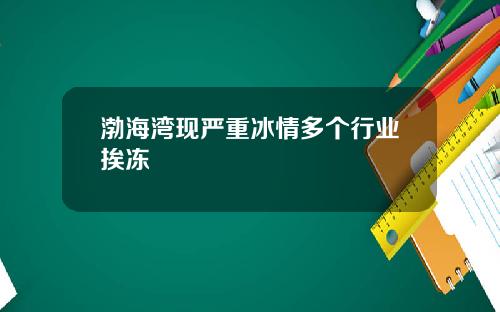 渤海湾现严重冰情多个行业挨冻