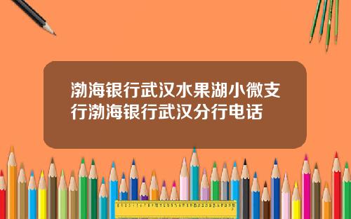 渤海银行武汉水果湖小微支行渤海银行武汉分行电话