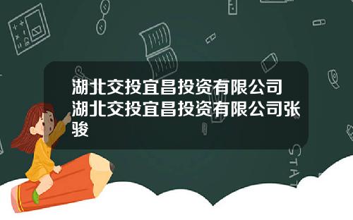 湖北交投宜昌投资有限公司湖北交投宜昌投资有限公司张骏