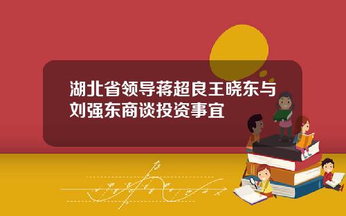 湖北省领导蒋超良王晓东与刘强东商谈投资事宜