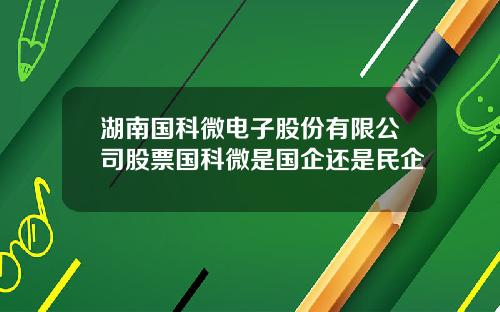 湖南国科微电子股份有限公司股票国科微是国企还是民企