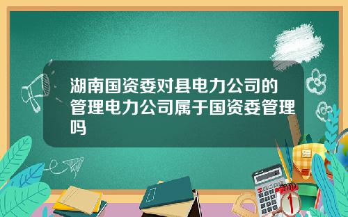湖南国资委对县电力公司的管理电力公司属于国资委管理吗