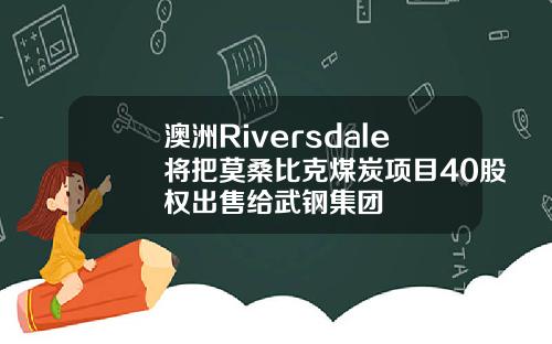 澳洲Riversdale将把莫桑比克煤炭项目40股权出售给武钢集团