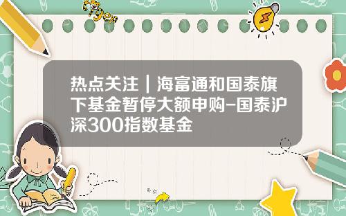 热点关注｜海富通和国泰旗下基金暂停大额申购-国泰沪深300指数基金