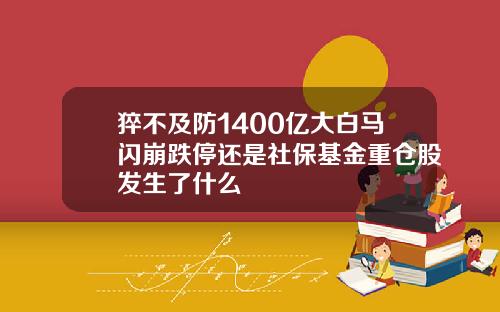 猝不及防1400亿大白马闪崩跌停还是社保基金重仓股发生了什么