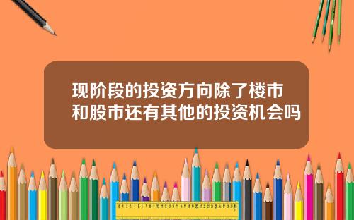 现阶段的投资方向除了楼市和股市还有其他的投资机会吗