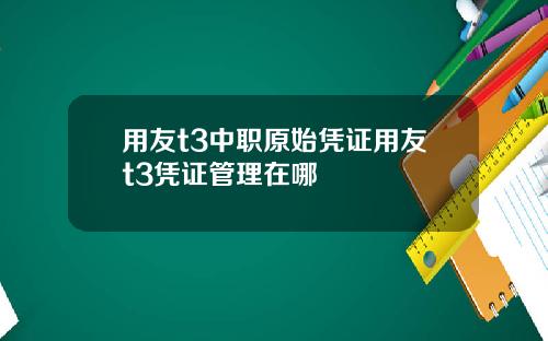 用友t3中职原始凭证用友t3凭证管理在哪