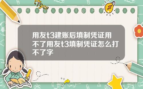 用友t3建账后填制凭证用不了用友t3填制凭证怎么打不了字