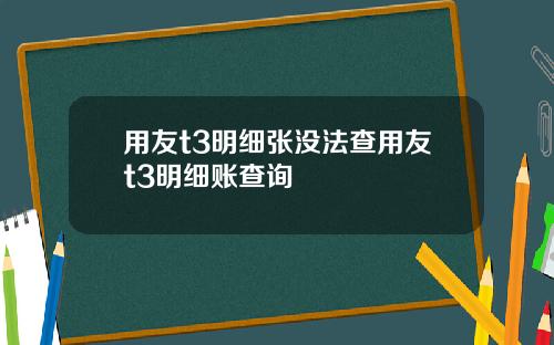 用友t3明细张没法查用友t3明细账查询