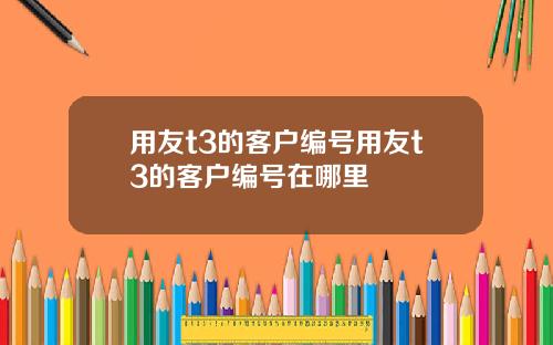 用友t3的客户编号用友t3的客户编号在哪里
