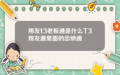 用友t3老板通是什么T3用友通里面的出纳通
