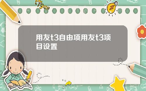 用友t3自由项用友t3项目设置