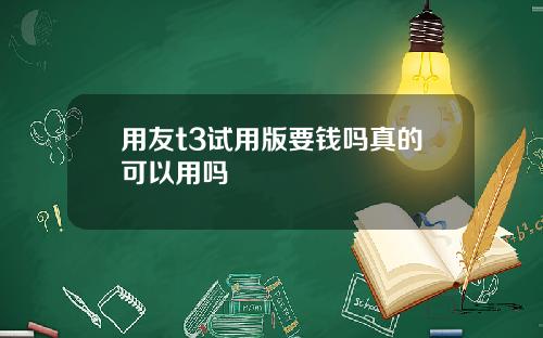用友t3试用版要钱吗真的可以用吗