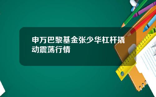 申万巴黎基金张少华杠杆撬动震荡行情