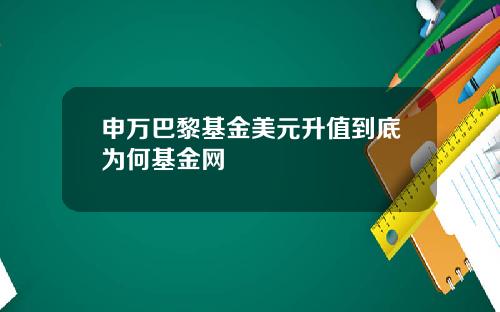 申万巴黎基金美元升值到底为何基金网