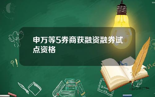 申万等5券商获融资融券试点资格