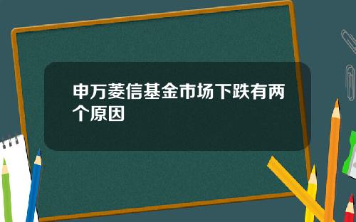 申万菱信基金市场下跌有两个原因