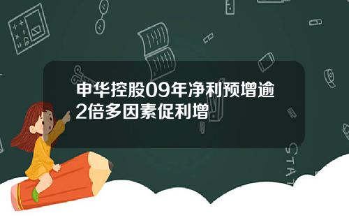 申华控股09年净利预增逾2倍多因素促利增