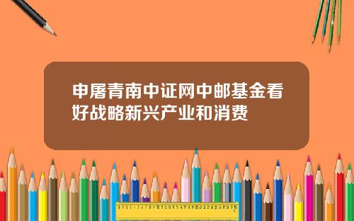 申屠青南中证网中邮基金看好战略新兴产业和消费