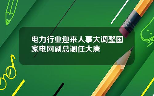 电力行业迎来人事大调整国家电网副总调任大唐