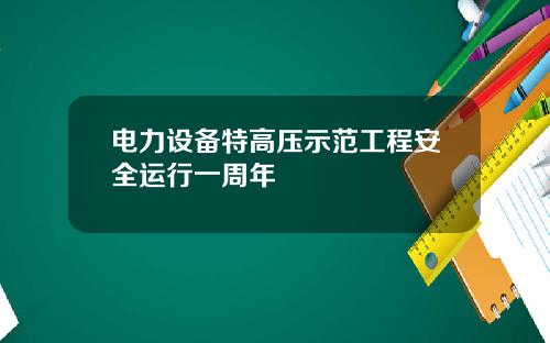 电力设备特高压示范工程安全运行一周年