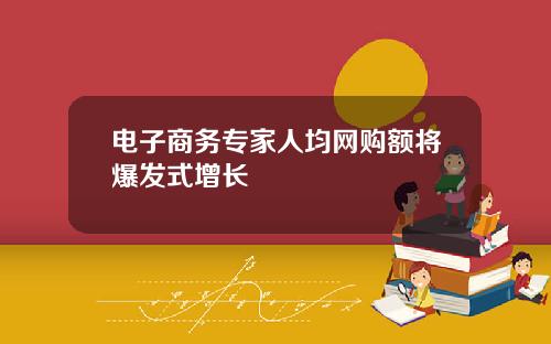 电子商务专家人均网购额将爆发式增长