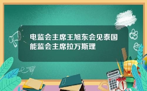 电监会主席王旭东会见泰国能监会主席拉万斯理