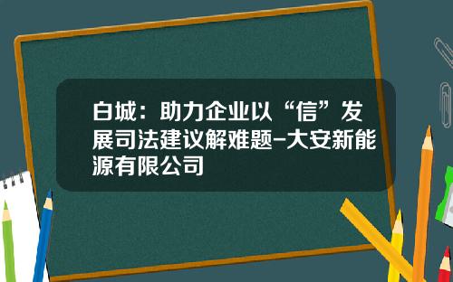 白城：助力企业以“信”发展司法建议解难题-大安新能源有限公司