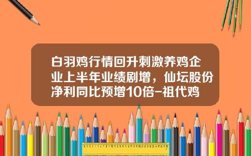 白羽鸡行情回升刺激养鸡企业上半年业绩剧增，仙坛股份净利同比预增10倍-祖代鸡一套多少