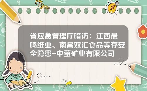 省应急管理厅暗访：江西晨鸣纸业、南昌双汇食品等存安全隐患-中萤矿业有限公司