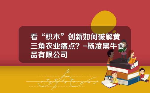 看“积木”创新如何破解黄三角农业痛点？-杨凌黑牛食品有限公司