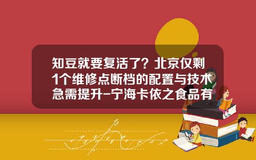知豆就要复活了？北京仅剩1个维修点断档的配置与技术急需提升-宁海卡依之食品有限公司