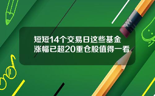 短短14个交易日这些基金涨幅已超20重仓股值得一看