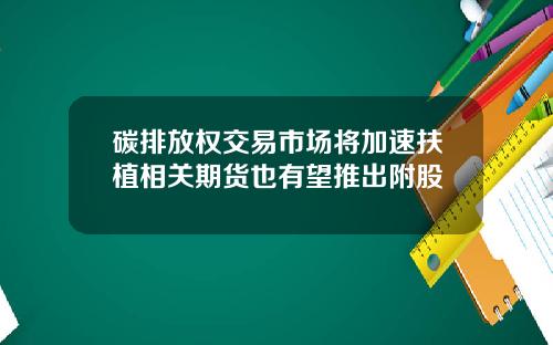 碳排放权交易市场将加速扶植相关期货也有望推出附股