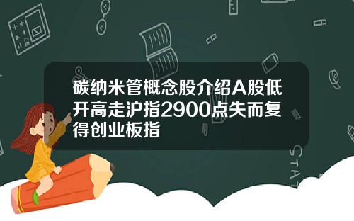 碳纳米管概念股介绍A股低开高走沪指2900点失而复得创业板指